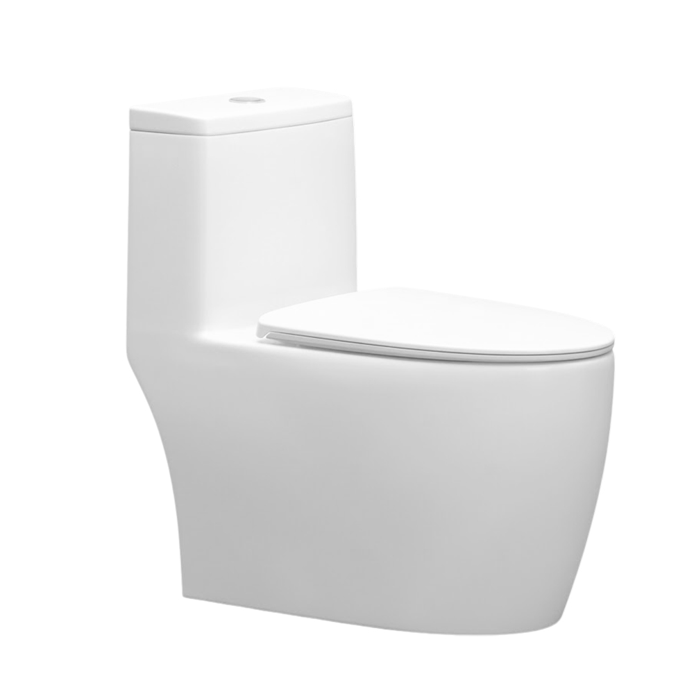 Bồn cầu một khối